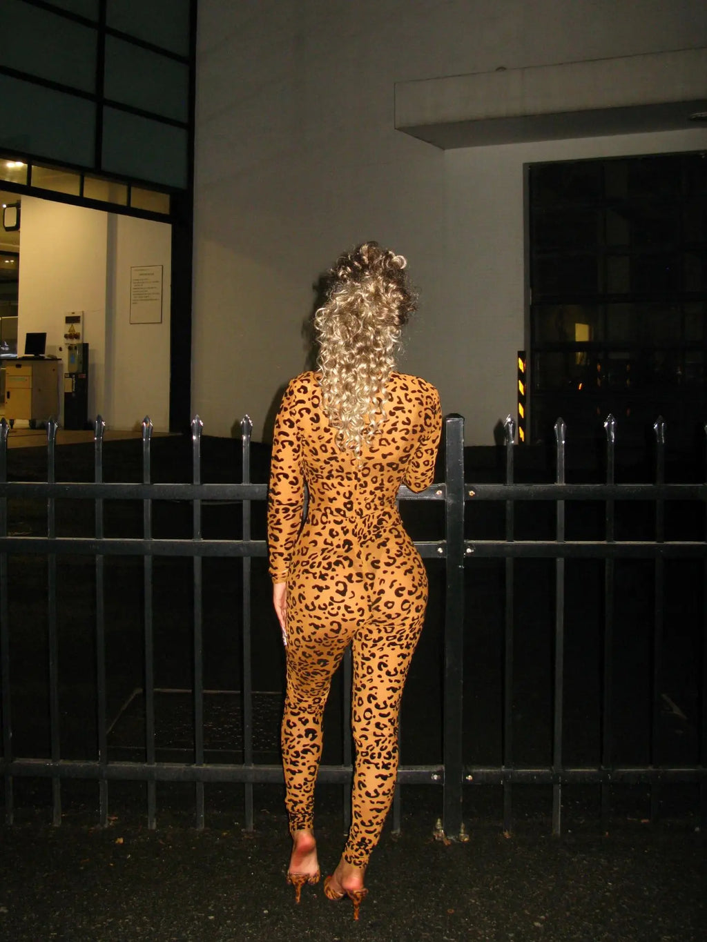 Y2k Hot Girl New Long Sleeve Bodycon Leopard Print Women Jumpsuit Sexy Sheer Mesh Bodysuits Catsuit Party Clubwear