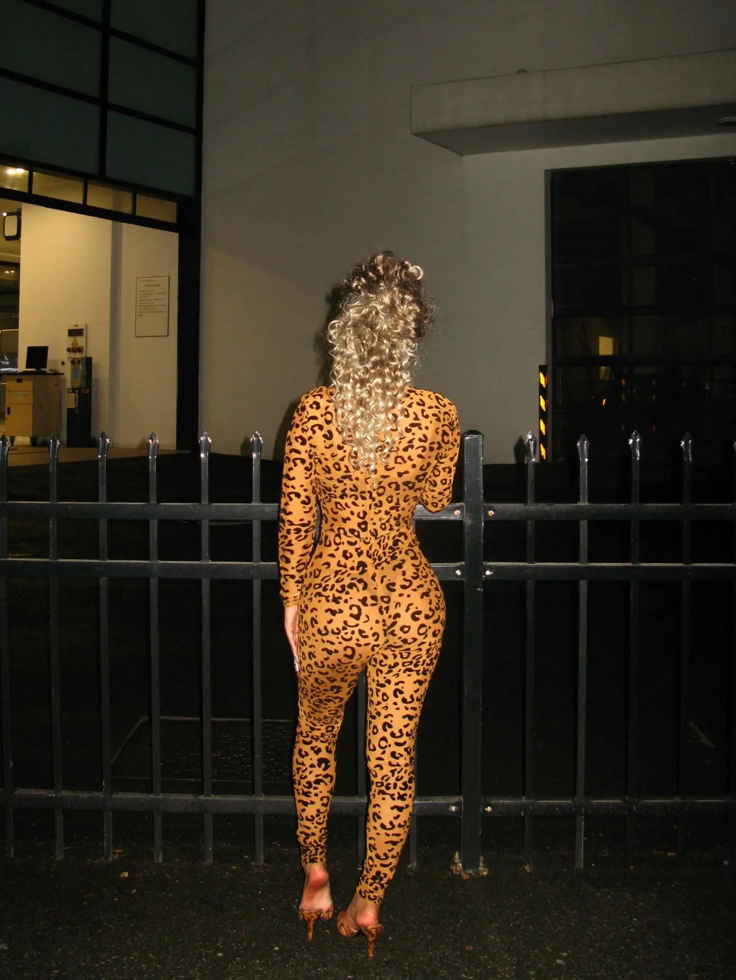 Y2k Hot Girl New Long Sleeve Bodycon Leopard Print Women Jumpsuit Sexy Sheer Mesh Bodysuits Catsuit Party Clubwear