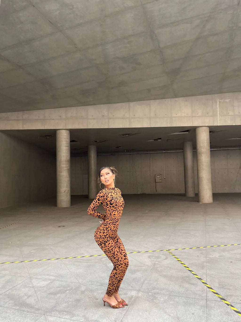 Y2k Hot Girl New Long Sleeve Bodycon Leopard Print Women Jumpsuit Sexy Sheer Mesh Bodysuits Catsuit Party Clubwear
